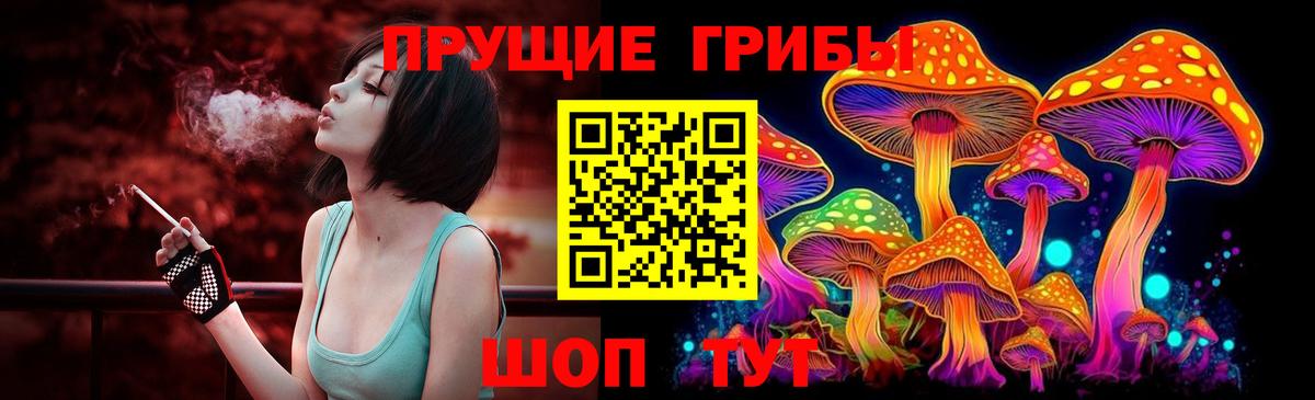 Нерюнгри  где можно купить наркотик  Вход с VPN  Галлюциногенные грибы ЛСД 